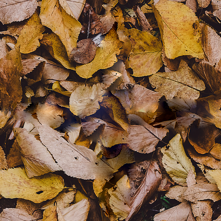 Forest Ground seamless PBR texture preview