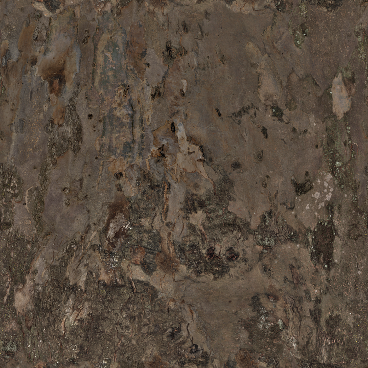 Bark Tree seamless PBR texture preview