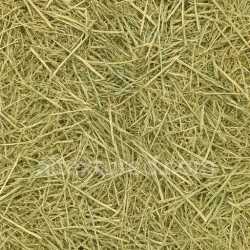 seamless Fresh Hay Seamless Texture texture 8k free download PBR