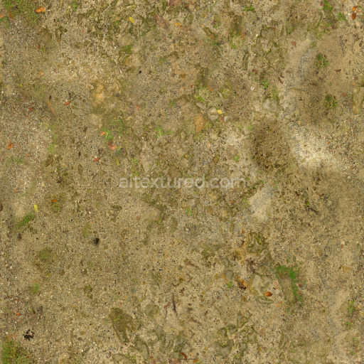 Ground Dirt Natural Earth Texture Seamless Pbr