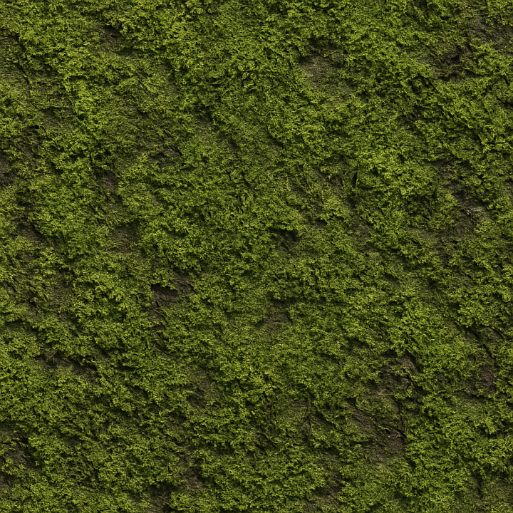 Rough Forest Moss seamless PBR texture preview