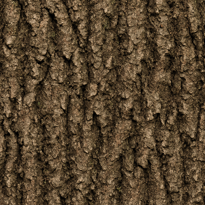 Dirty Oak Bark Wood seamless PBR texture preview