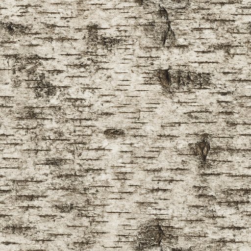 Aged Birch Seamless Texture seamless Wood PBR texture