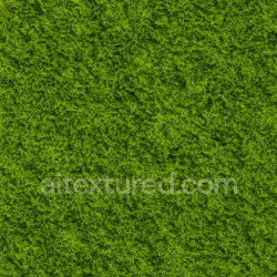 seamless High Resolution Green Moss Texture Seamless 1024X1024 texture 1024x1024 free download PBR