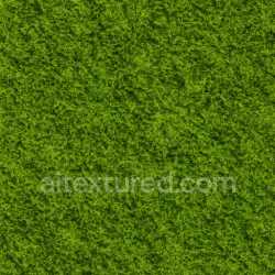 seamless High Resolution Green Moss Texture Seamless texture 8k free download PBR