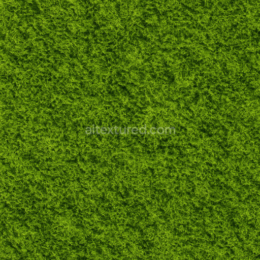 High Resolution Green Moss Texture Seamless 1024X1024