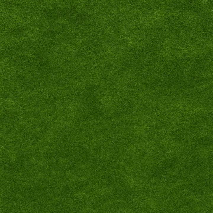 Polished Green Moss seamless PBR texture preview
