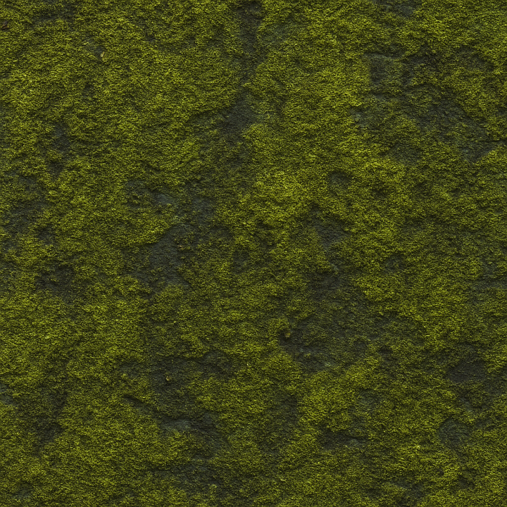 Aged Wet Moss seamless PBR texture preview