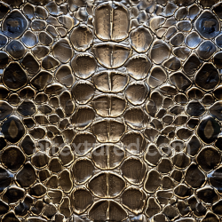 seamless Seamless 3D PBR Crocodile Leather Texture with Glossy Black and Brown Scales texture 8k free download PBR