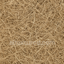 seamless Realistic Dried Grass Seamless Texture texture 1024x1024 free download PBR