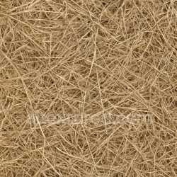 seamless Realistic Dried Grass Seamless Texture texture 8k free download PBR