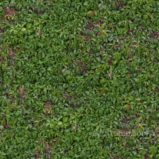 High-Quality Hedge PBR Texture seamless Foliage PBR texture