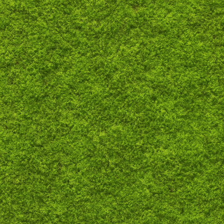 Natural Green Moss seamless PBR texture preview