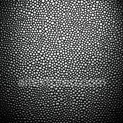 seamless Seamless 3D PBR Texture of Black Reptilian Skin with Organic Scale Pattern and High Contrast texture 8k free download PBR