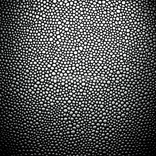 Seamless 3D PBR Texture of Black Reptilian Skin with Organic Scale Pattern and High Contrast