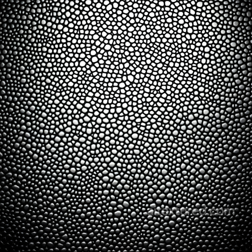 Black Reptilian Skin Seamless Texture with Organic Scale Pattern and High Contrast seamless Skin PBR texture