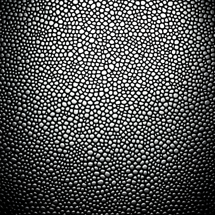 Black Reptilian Skin with Organic Scale Pattern and High Contrast seamless PBR texture preview