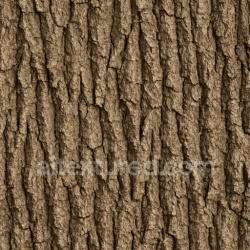 seamless Natural Oak Bark Texture Seamless 1024X1024 texture 1024x1024 free download PBR