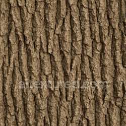 seamless Natural Oak Bark Texture Seamless texture 8k free download PBR