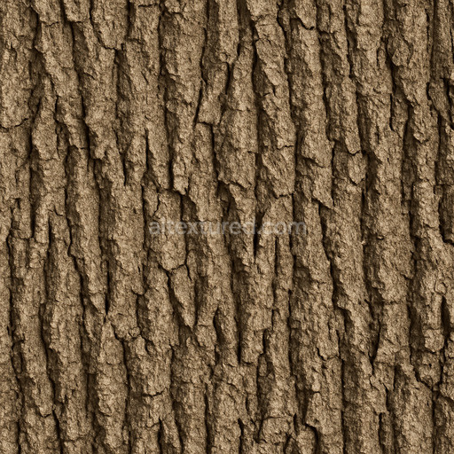 Preview — Natural Oak Bark Texture Seamless 1024X1024 Preview — Natural Oak Bark Texture Seamless 1024X1024