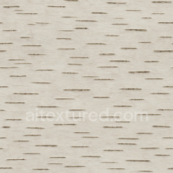 seamless Matte Birch Bark Texture Seamless 1024X1024 texture 1024x1024 free download PBR