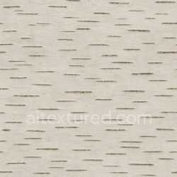 seamless Matte Birch Bark Texture Seamless texture 8k free download PBR