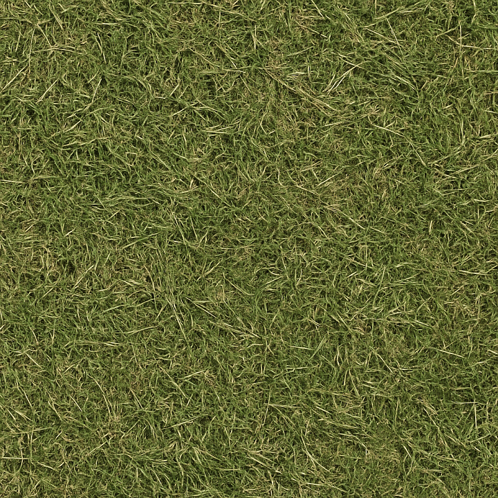 Rough Grass seamless PBR texture preview