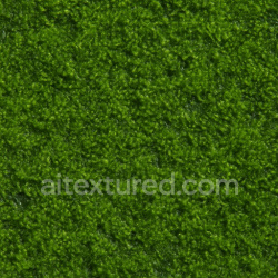 seamless Natural Wet Moss Texture Seamless 1024X1024 texture 1024x1024 free download PBR