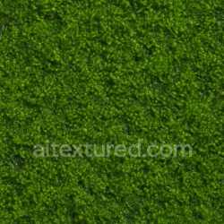 seamless Natural Wet Moss Texture Seamless texture 8k free download PBR